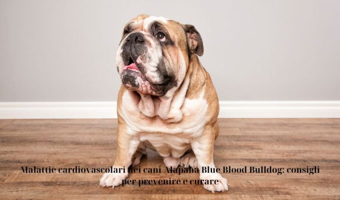 Malattie cardiovascolari nei cani Alapaha Blue Blood Bulldog: consigli per prevenire e curare