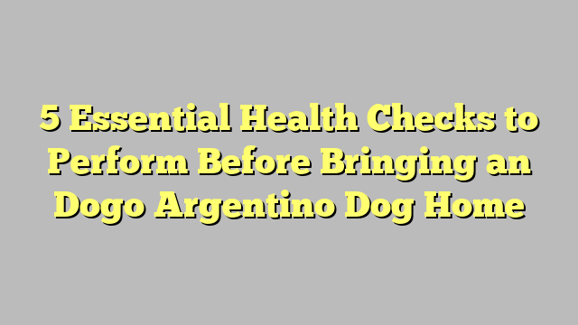 5 Essential Health Checks to Perform Before Bringing an Dogo Argentino Dog Home