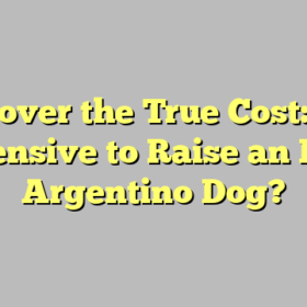 Discover the True Cost: Is It Expensive to Raise an Dogo Argentino Dog?