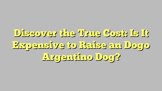 Discover the True Cost: Is It Expensive to Raise an Dogo Argentino Dog?