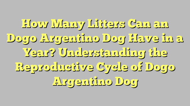 How Many Litters Can an Dogo Argentino Dog Have in a Year? Understanding the Reproductive Cycle of Dogo Argentino Dog