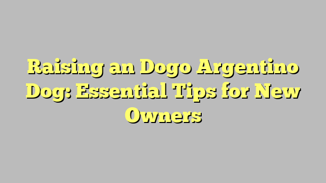 Raising an Dogo Argentino Dog: Essential Tips for New Owners