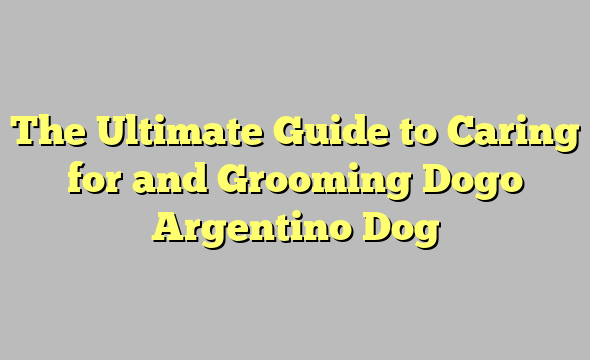 The Ultimate Guide to Caring for and Grooming Dogo Argentino Dog