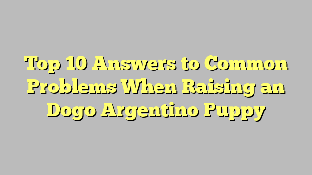 Top 10 Answers to Common Problems When Raising an Dogo Argentino Puppy