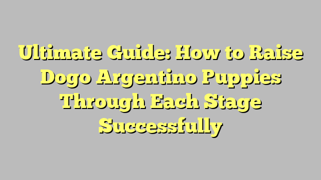 Ultimate Guide: How to Raise Dogo Argentino Puppies Through Each Stage Successfully